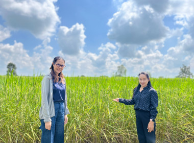ลงพื้นที่ติดตามการใช้เงินกู้กองทุนสงเคราะห์เกษตรกร พารามิเตอร์รูปภาพ 3